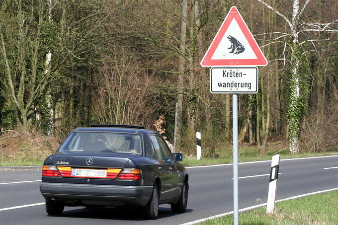 Krötenwanderung-Verkehrsschild an einer Landstraße - Foto: Helge May