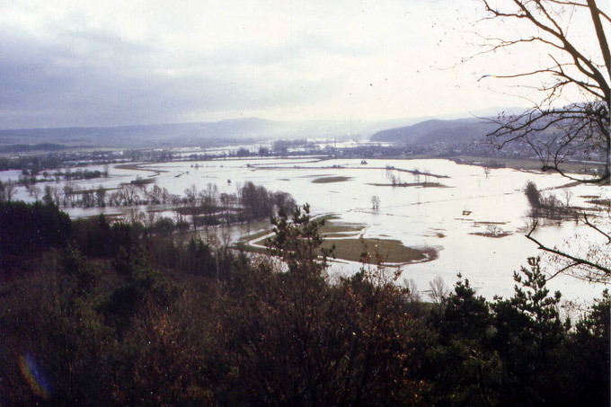Überschwemmung Werraaue - Foto: M. Biedermann