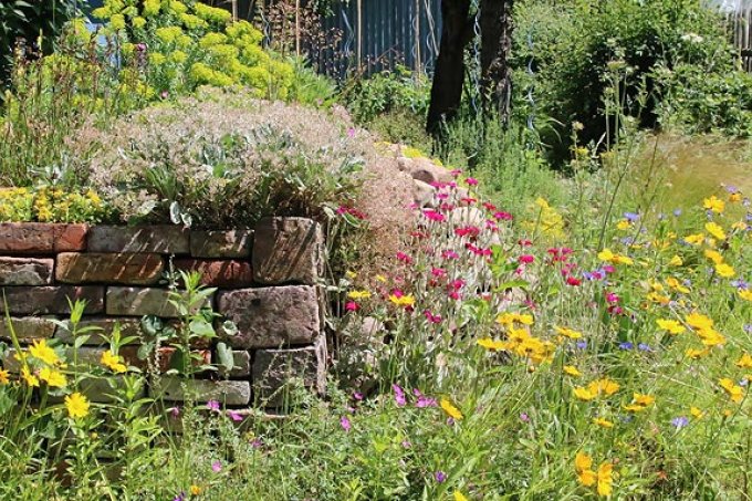 Mit einem naturnahen Garten locken Sie den Stieglitz in Ihren Garten. - Foto: Eric Neuling