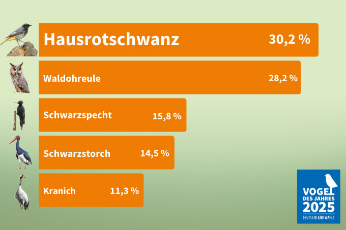 Vogel des Jahres 2025: die Wahlergebnisse im Überblick - Grafik: NABU