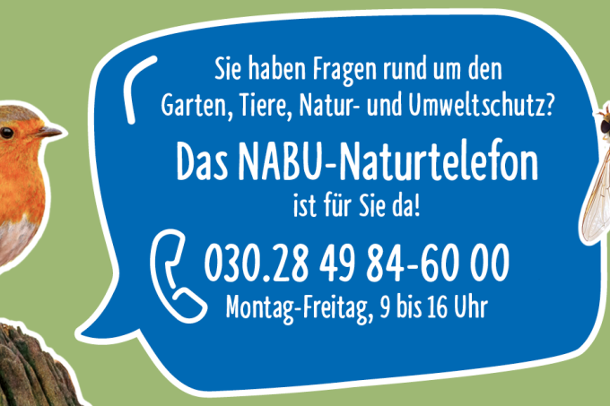 NABU Naturtelefon