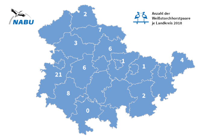 61 Weißstorchhorstpaare wurden 2018 in Thüringen gezählt. (Datensatz Landkreise Thüringen: © GDI-TH, entsprechend den Nutzungsbedingungen nach der Datenlizenz Deutschland - Namensnennung in der Version 2.0, siehe www.govdata.de/dl-de/by-2-0)
