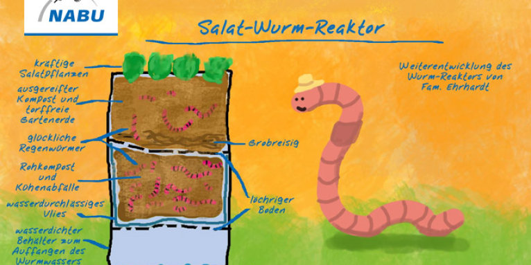Salat-Wurm-Reaktor - Friedhelm Petzke