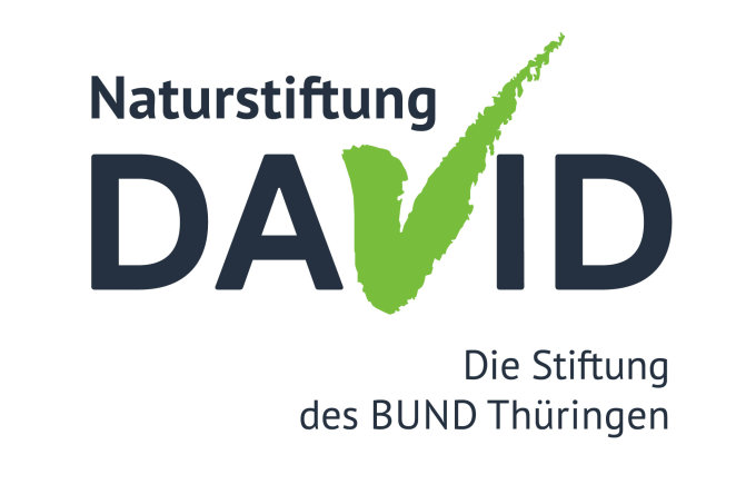 Logo_naturstiftung-david