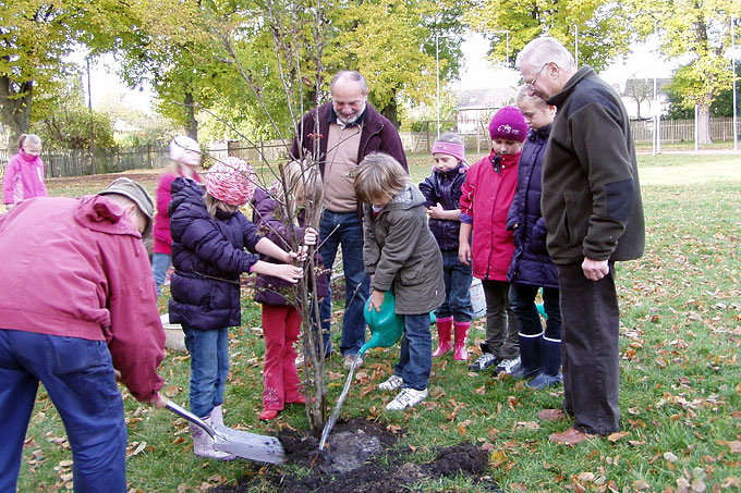 Schüler der Grundschule Rastenberg pflanzen einen Strauch. - Foto: Grundschule Rastenberg