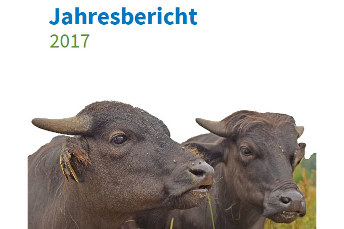 Jahresbericht 2017 - Foto: Friedhelm Petzke