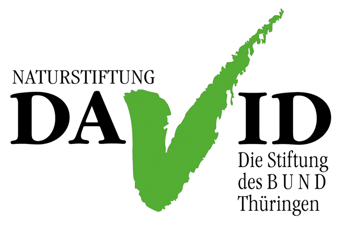 Naturstiftung David - Logo