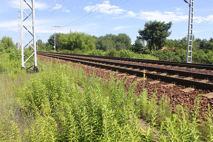 Bahnstrecke - Foto: Helge May